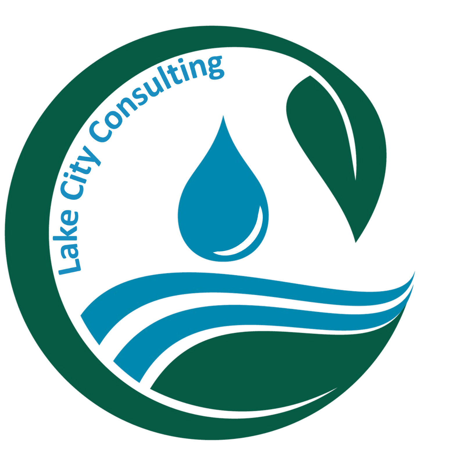 Lake City Companies 